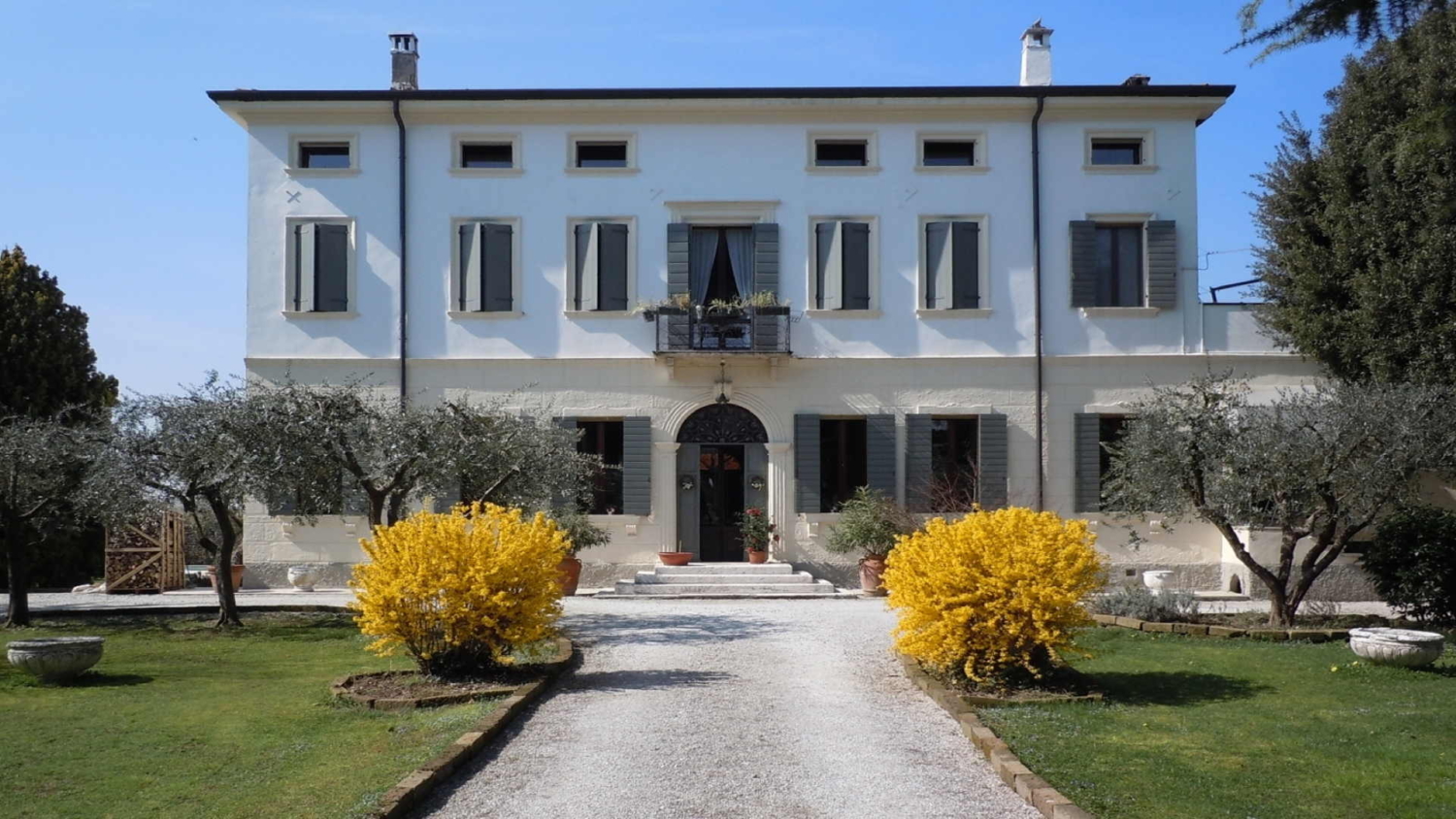 VILLA MALSPINA B&B